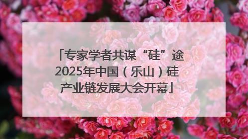 专家学者共谋“硅”途 2025年中国（乐山）硅产业链发展大会开幕
