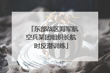 东部战区海军航空兵某团组织长航时反潜训练