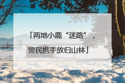 两地小鹿“迷路”，警民携手放归山林