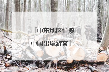 中东地区忙揽中国出境游客