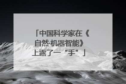 中国科学家在《自然·机器智能》上露了一“手”