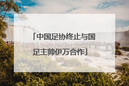 中国足协终止与国足主帅伊万合作