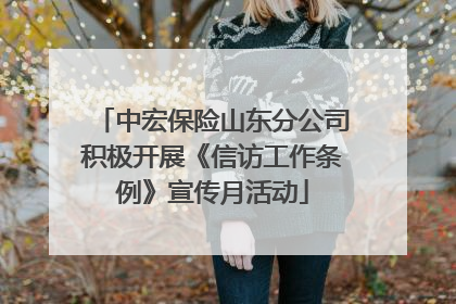 中宏保险山东分公司积极开展《信访工作条例》宣传月活动