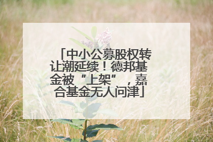 中小公募股权转让潮延续！德邦基金被“上架”，嘉合基金无人问津