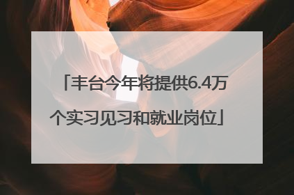 丰台今年将提供6.4万个实习见习和就业岗位