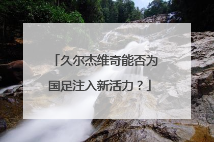 久尔杰维奇能否为国足注入新活力？