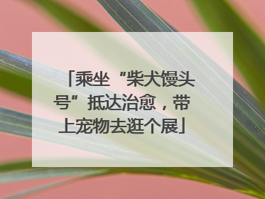 乘坐“柴犬馒头号”抵达治愈，带上宠物去逛个展