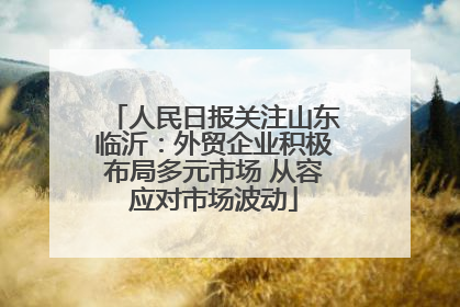 人民日报关注山东临沂：外贸企业积极布局多元市场 从容应对市场波动