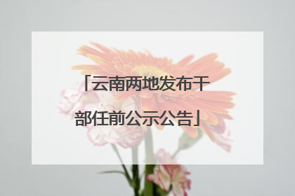 云南两地发布干部任前公示公告