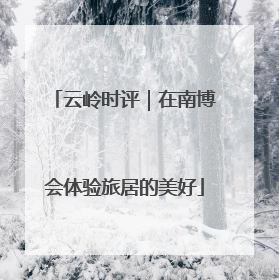 云岭时评｜在南博会体验旅居的美好