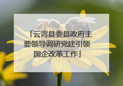 云霄县委县政府主要领导调研党建引领国企改革工作