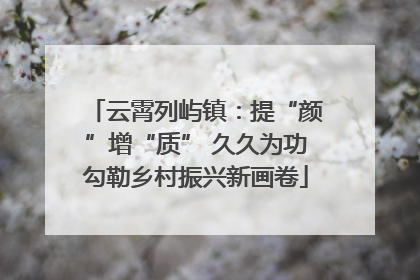 云霄列屿镇：提“颜”增“质” 久久为功勾勒乡村振兴新画卷