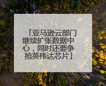 亚马逊云部门继续扩张数据中心，同时还要争抢英伟达芯片