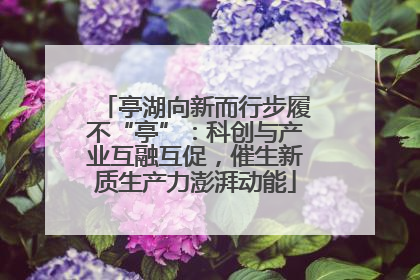 亭湖向新而行步履不“亭”：科创与产业互融互促，催生新质生产力澎湃动能