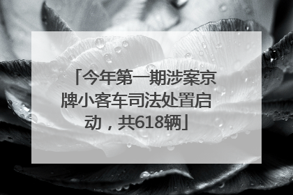 今年第一期涉案京牌小客车司法处置启动，共618辆