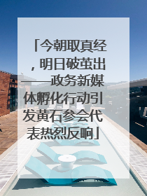 今朝取真经，明日破茧出——政务新媒体孵化行动引发黄石参会代表热烈反响