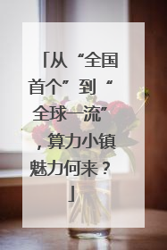 从“全国首个”到“全球一流”，算力小镇魅力何来？