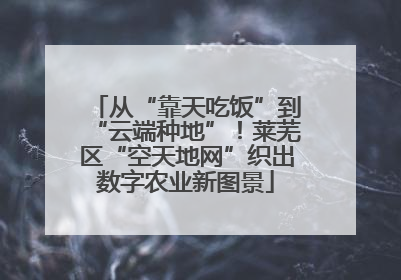 从“靠天吃饭”到“云端种地”！莱芜区“空天地网”织出数字农业新图景