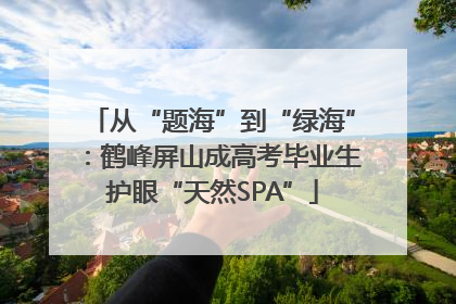 从“题海”到“绿海”：鹤峰屏山成高考毕业生护眼“天然SPA”