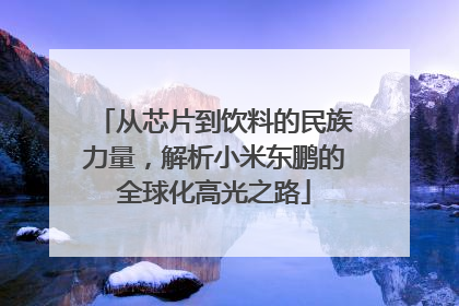 从芯片到饮料的民族力量，解析小米东鹏的全球化高光之路