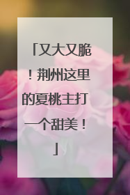 又大又脆！荆州这里的夏桃主打一个甜美！