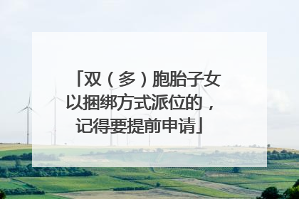 双（多）胞胎子女以捆绑方式派位的，记得要提前申请