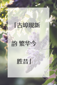 古埠现新韵 繁华今胜昔