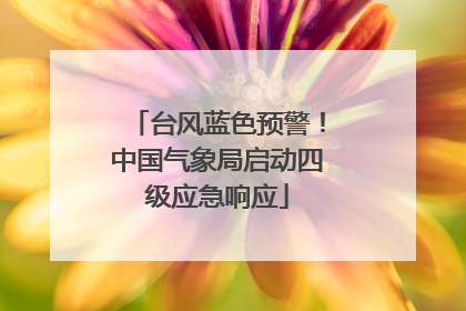 台风蓝色预警！中国气象局启动四级应急响应