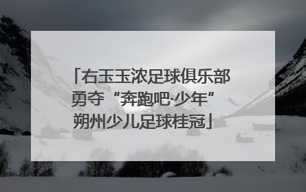 右玉玉浓足球俱乐部勇夺“奔跑吧·少年”朔州少儿足球桂冠