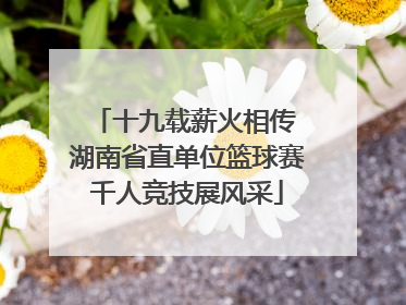 十九载薪火相传 湖南省直单位篮球赛千人竞技展风采