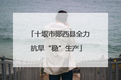 十堰市郧西县全力抗旱“稳”生产