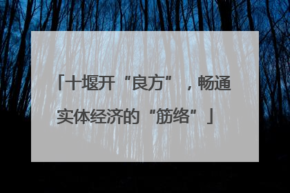 十堰开“良方”，畅通实体经济的“筋络”