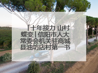 十年接力 山村蝶变│信阳市人大常委会机关驻商城县油坊店村第一书记工作纪实