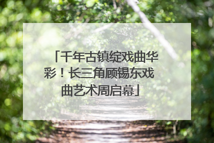 千年古镇绽戏曲华彩！长三角顾锡东戏曲艺术周启幕