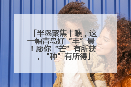 半岛聚焦丨瞧，这一幅青岛好“丰”景！愿你“芒”有所获，“种”有所得