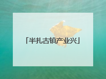 半扎古镇产业兴