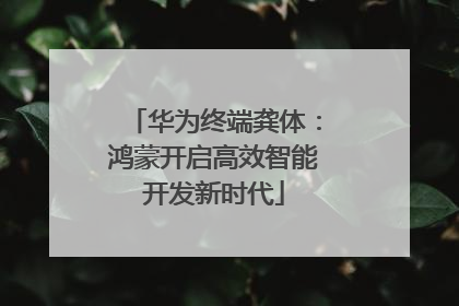 华为终端龚体：鸿蒙开启高效智能开发新时代