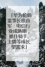 华为轮值董事长徐直军：电信行业成熟期，抓住骑手、主播等成长型需求