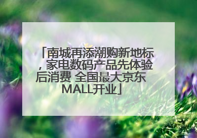 南城再添潮购新地标，家电数码产品先体验后消费 全国最大京东MALL开业