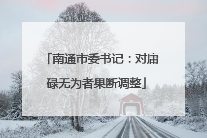 南通市委书记：对庸碌无为者果断调整