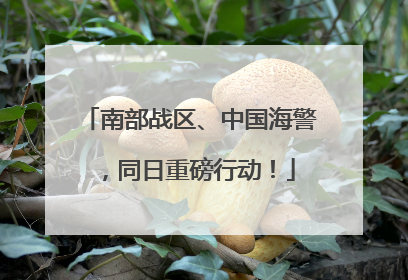 南部战区、中国海警，同日重磅行动！