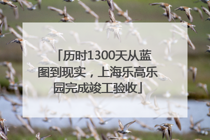 历时1300天从蓝图到现实，上海乐高乐园完成竣工验收