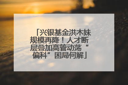 兴银基金洪木妹规模再降！人才断层叠加高管动荡“偏科”困局何解