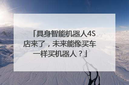 具身智能机器人4S店来了，未来能像买车一样买机器人？