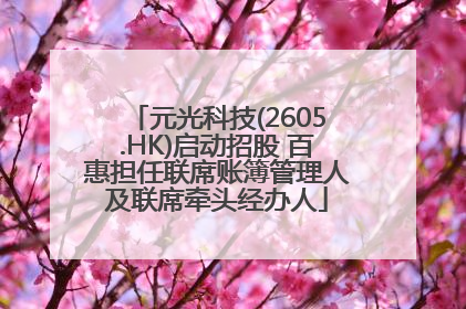 元光科技(2605.HK)启动招股 百惠担任联席账簿管理人及联席牵头经办人