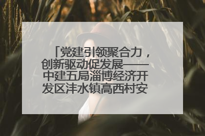 党建引领聚合力，创新驱动促发展——中建五局淄博经济开发区沣水镇高西村安置项目建设纪实