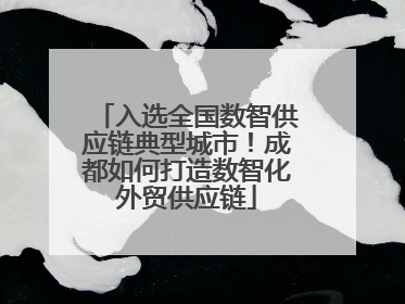 入选全国数智供应链典型城市！成都如何打造数智化外贸供应链