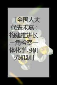 全国人大代表宋燕：构建推进长三角检察一体化学习研究机制