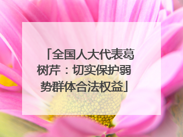 全国人大代表葛树芹：切实保护弱势群体合法权益