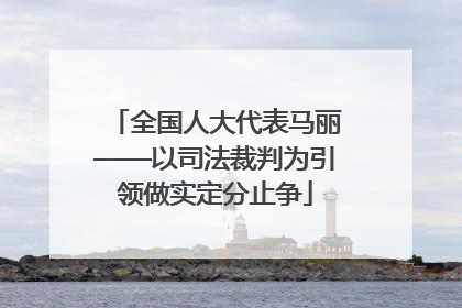 全国人大代表马丽——以司法裁判为引领做实定分止争